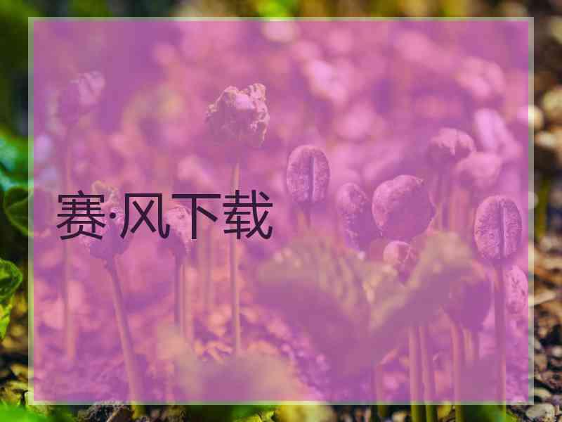 赛·风下载