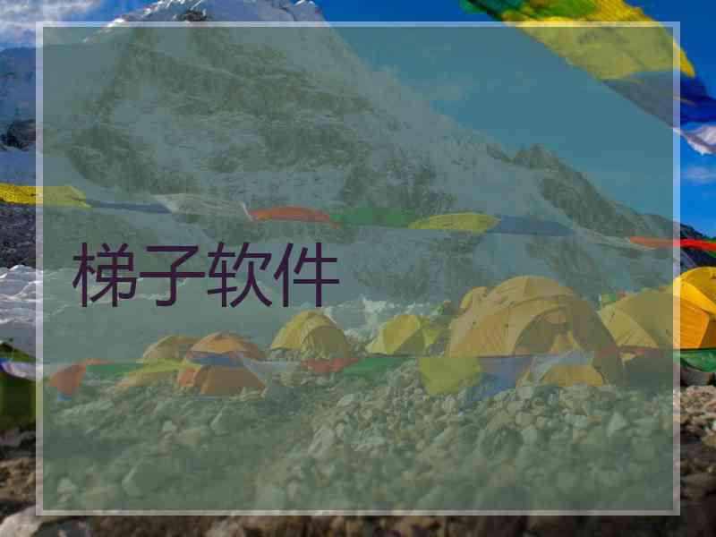 梯子软件