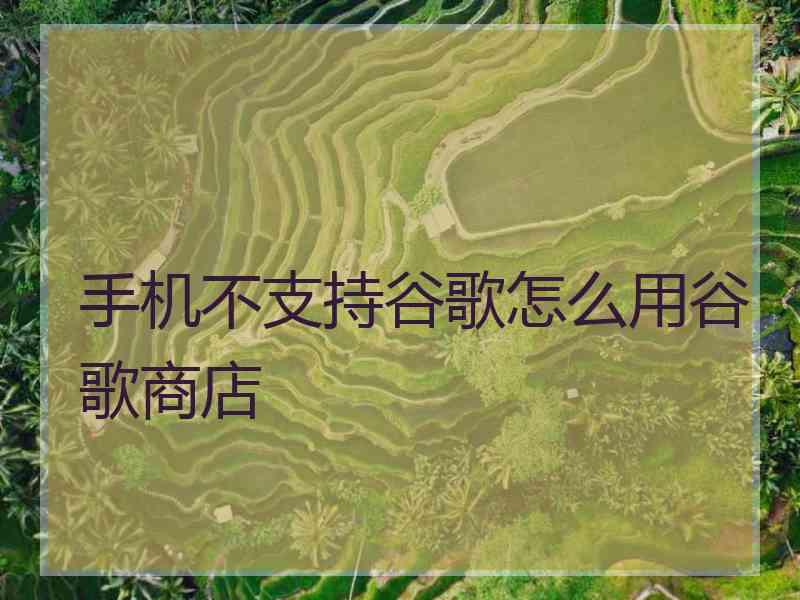 手机不支持谷歌怎么用谷歌商店