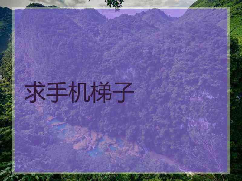 求手机梯子