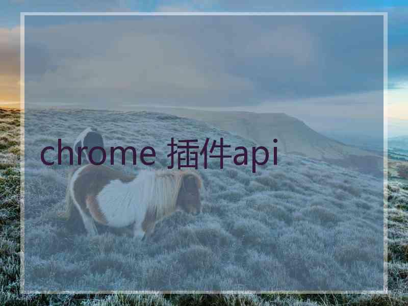 chrome 插件api