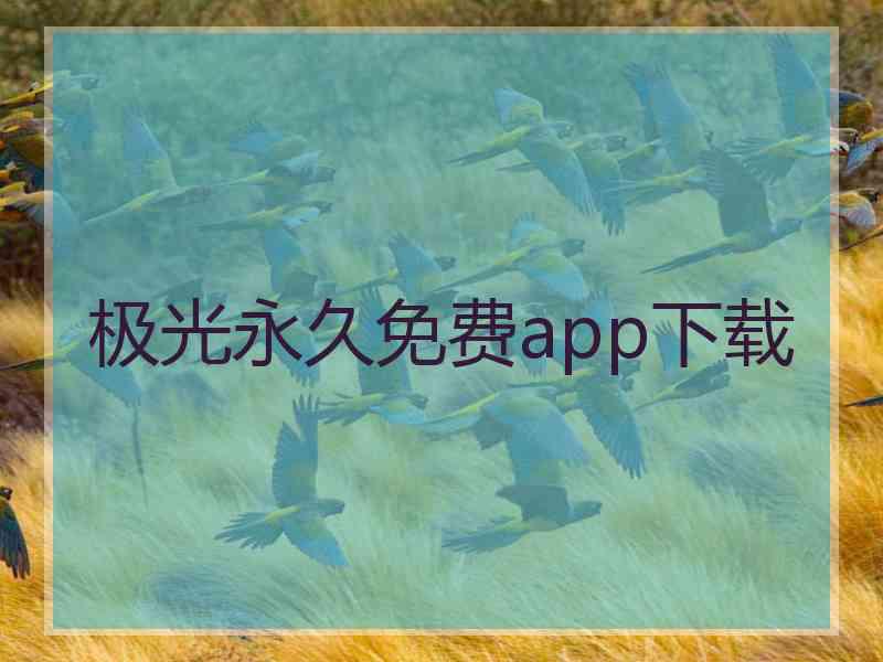 极光永久免费app下载