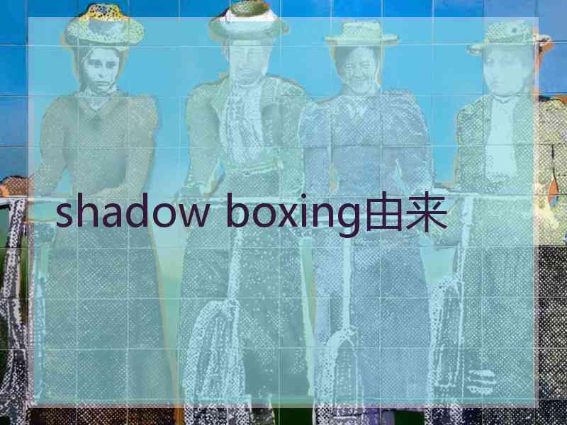shadow boxing由来