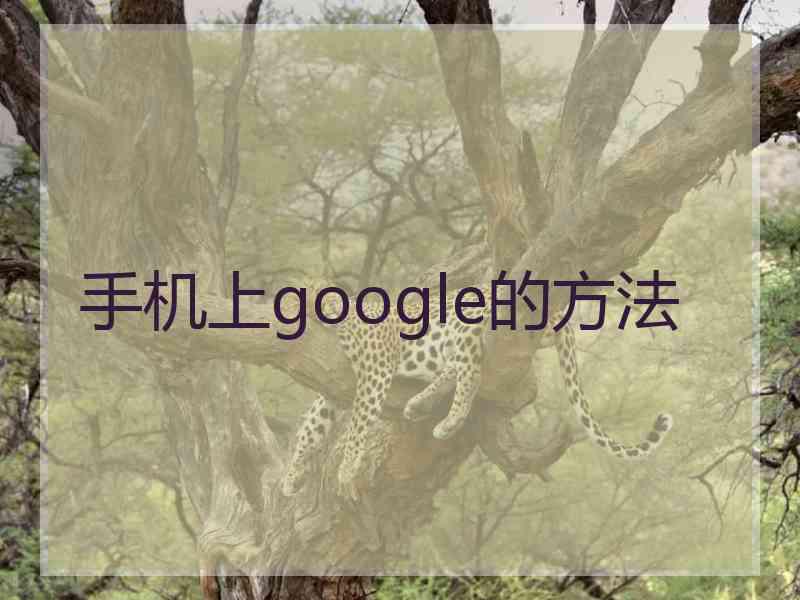 手机上google的方法