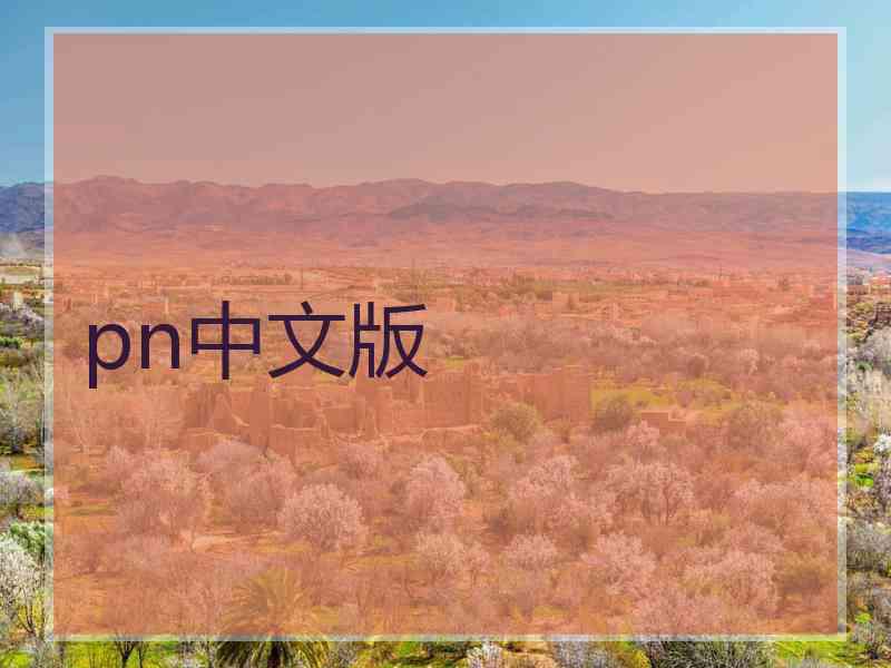 pn中文版