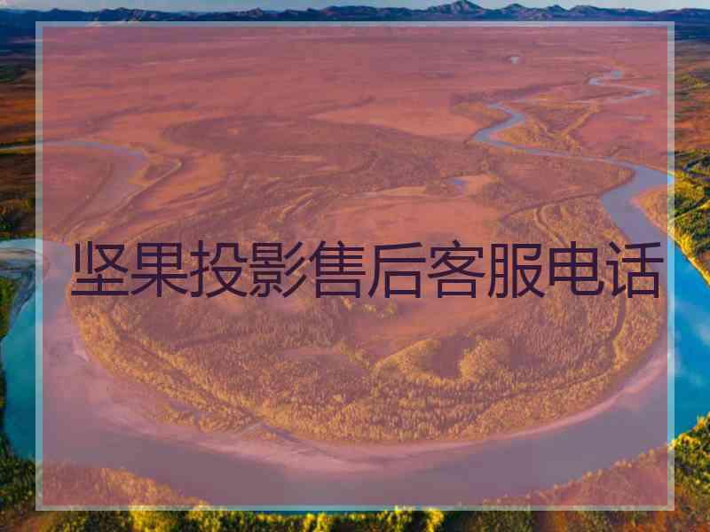 坚果投影售后客服电话