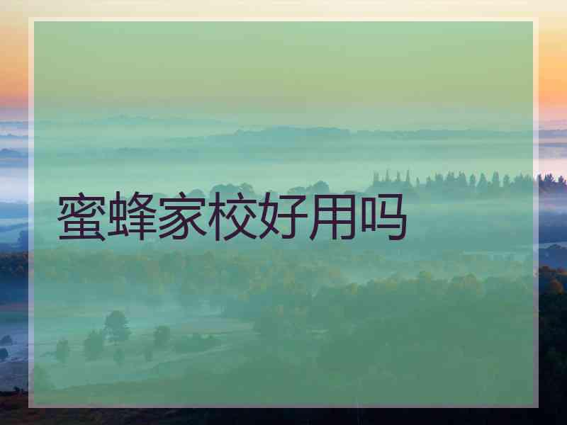蜜蜂家校好用吗