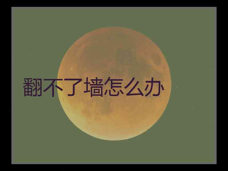 翻不了墙怎么办