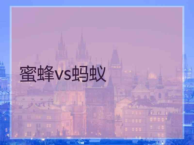 蜜蜂vs蚂蚁