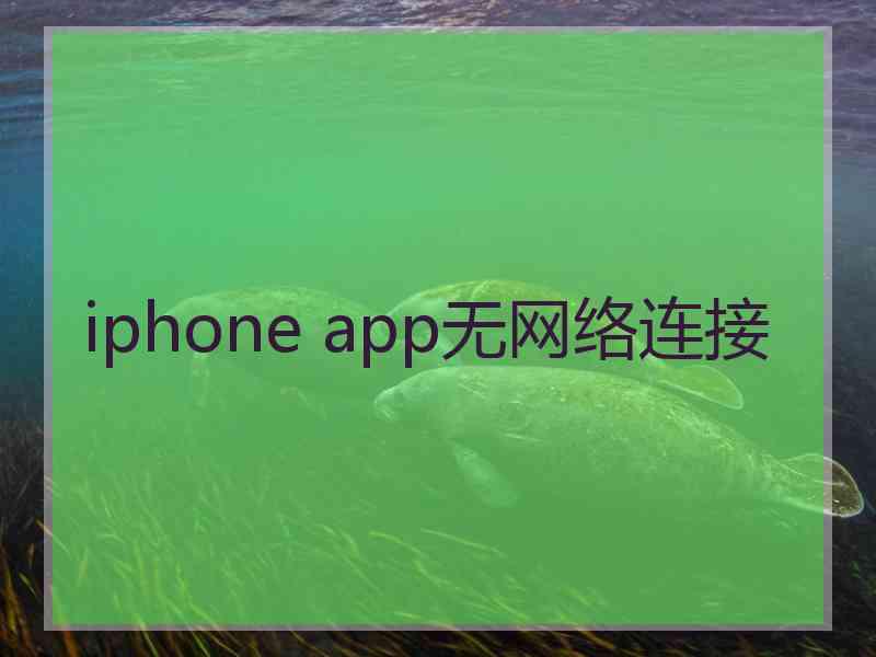 iphone app无网络连接