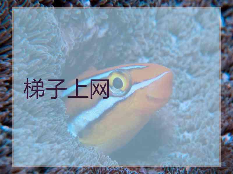 梯子上网