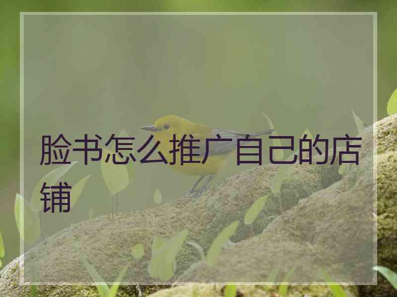 脸书怎么推广自己的店铺