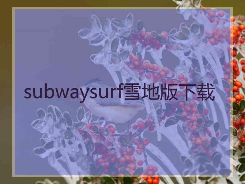 subwaysurf雪地版下载