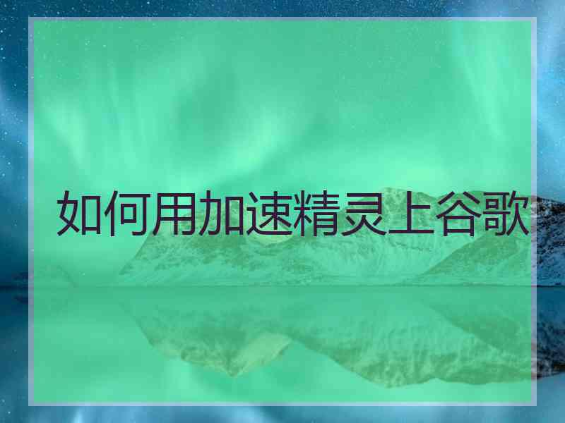 如何用加速精灵上谷歌