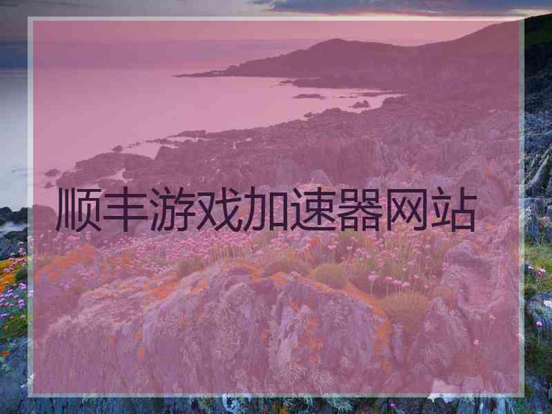 顺丰游戏加速器网站