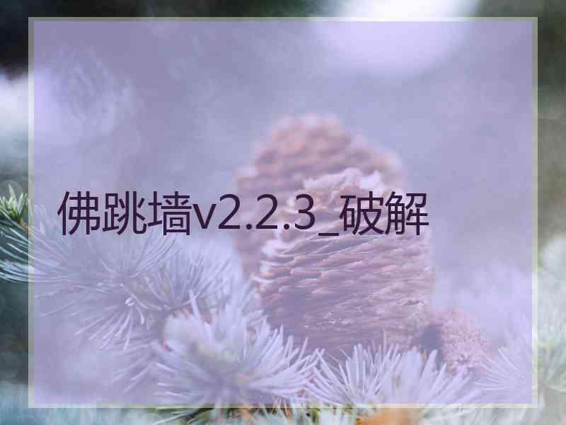 佛跳墙v2.2.3_破解