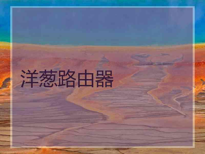 洋葱路由器