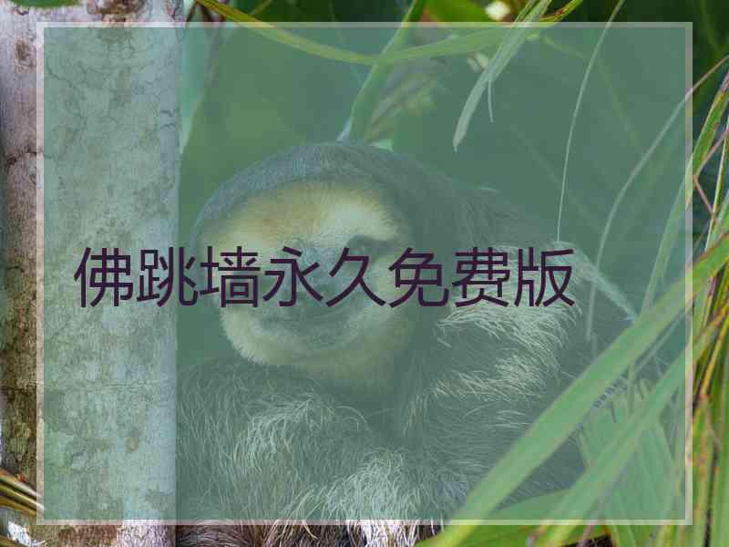 佛跳墙永久免费版