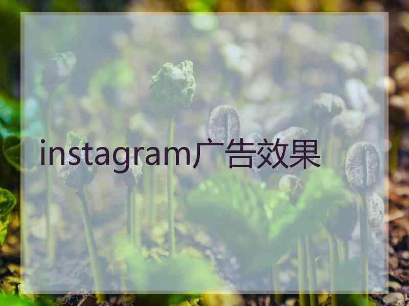 instagram广告效果
