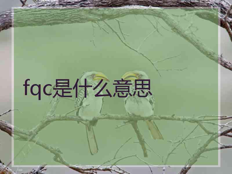 fqc是什么意思