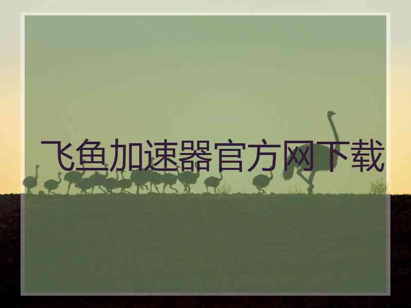 飞鱼加速器官方网下载
