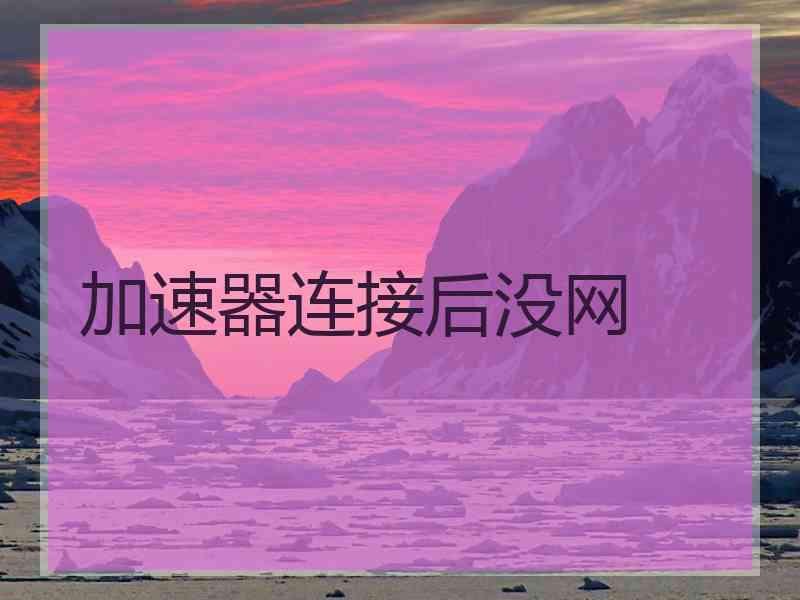 加速器连接后没网