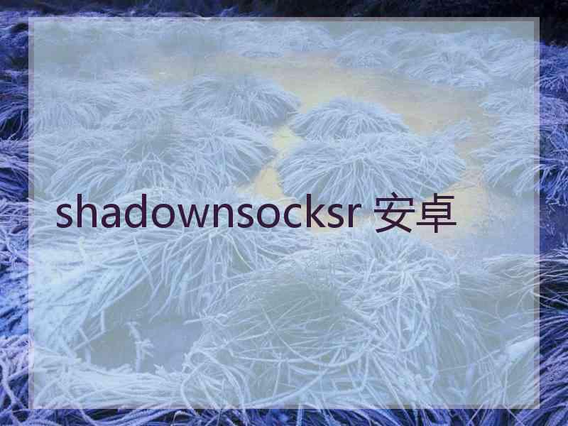 shadownsocksr 安卓