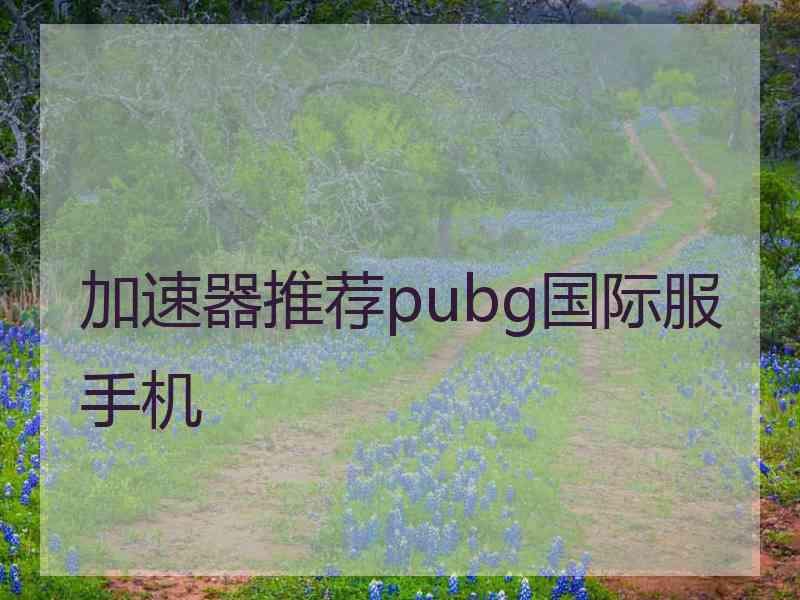 加速器推荐pubg国际服手机