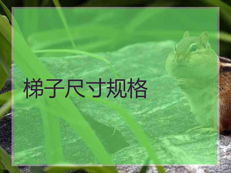 梯子尺寸规格