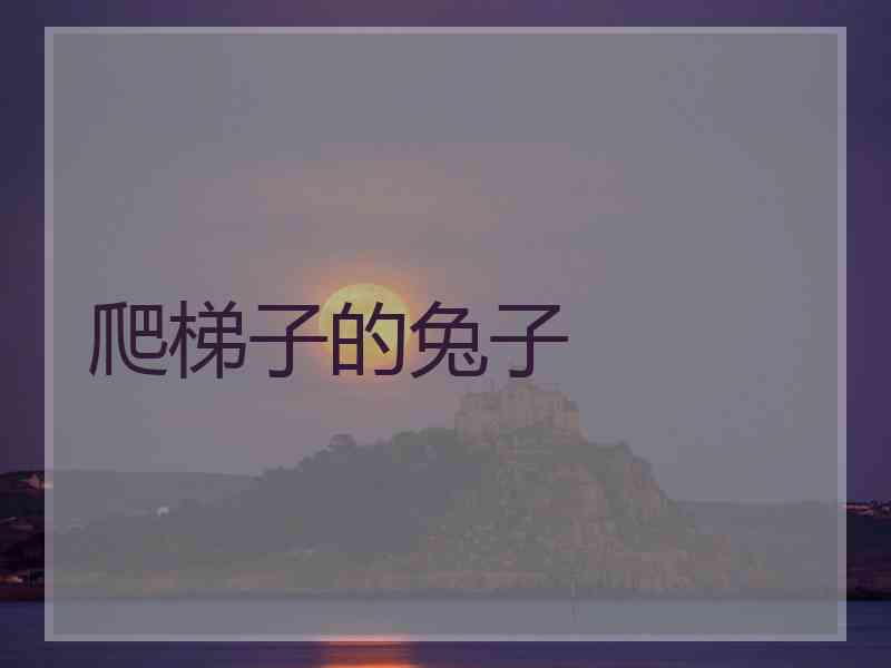 爬梯子的兔子