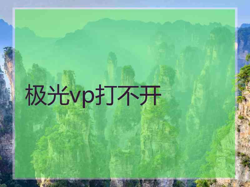 极光vp打不开