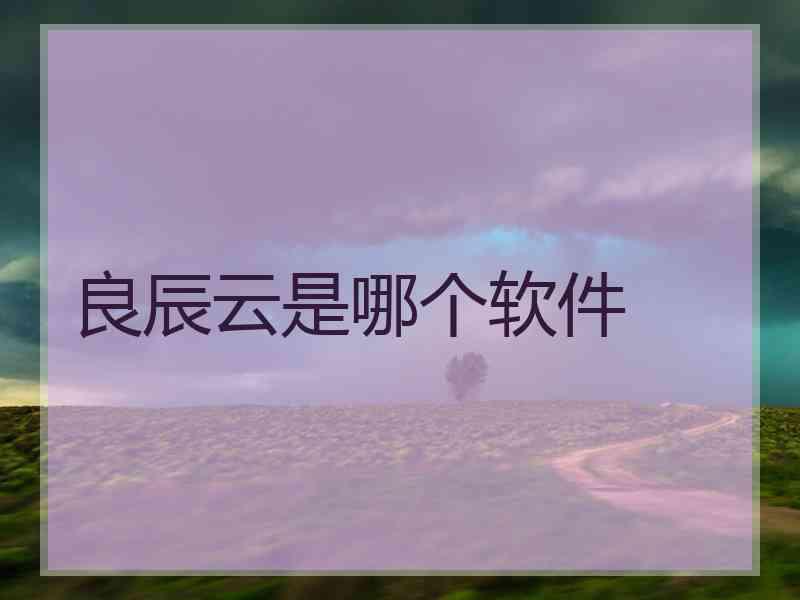 良辰云是哪个软件