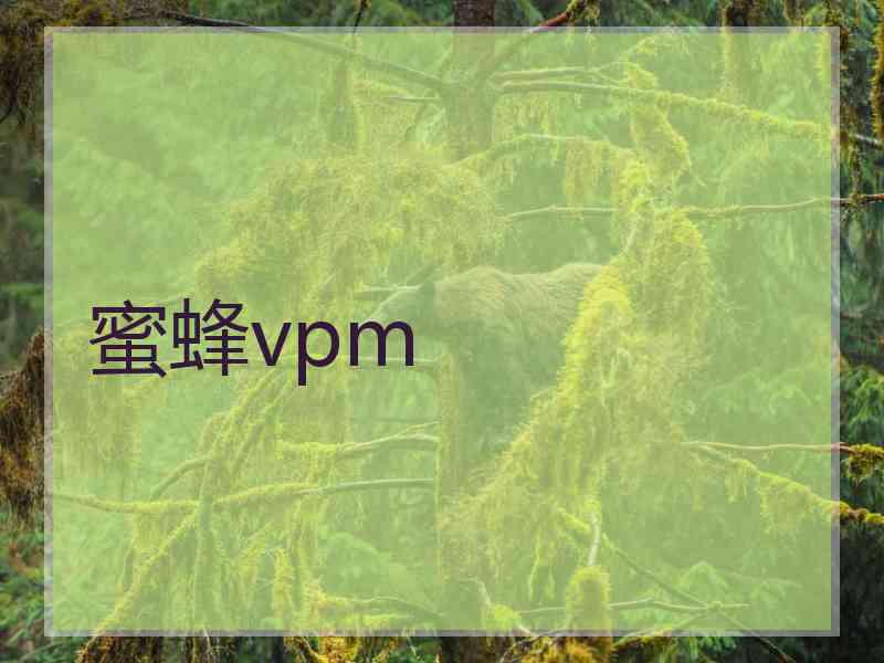蜜蜂vpm