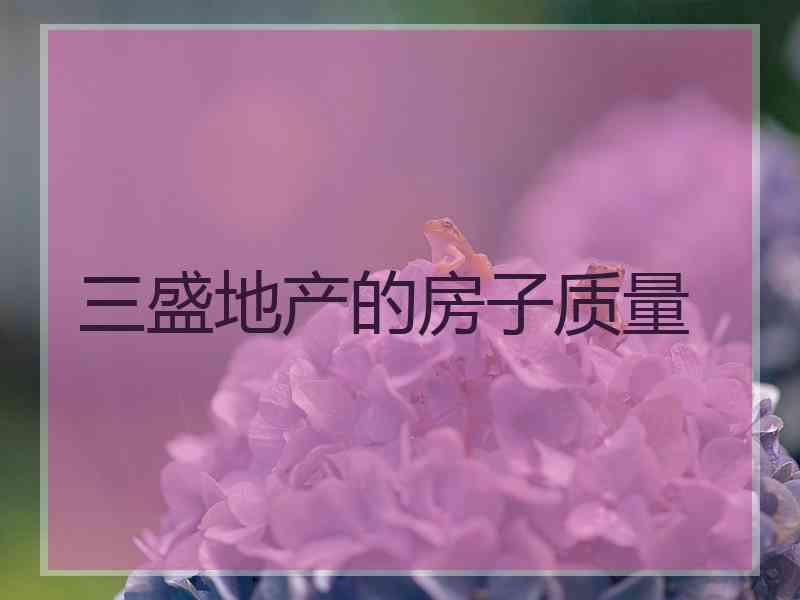 三盛地产的房子质量
