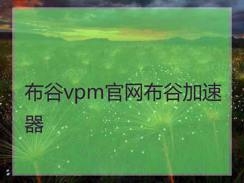 布谷vpm官网布谷加速器