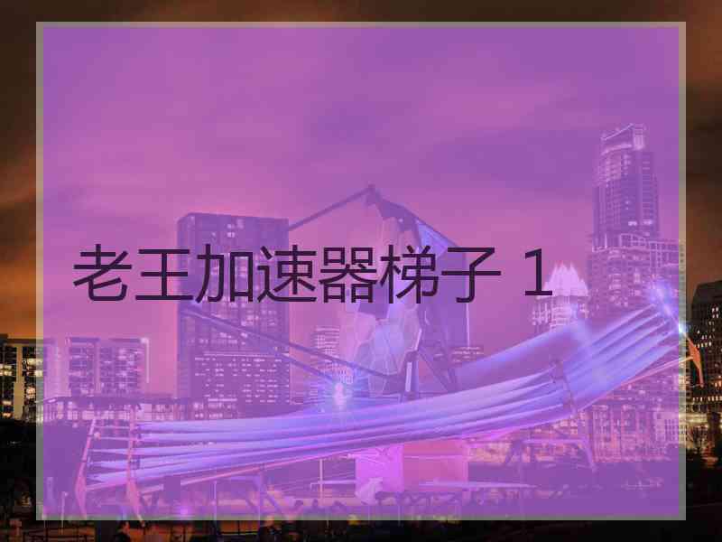 老王加速器梯子 1