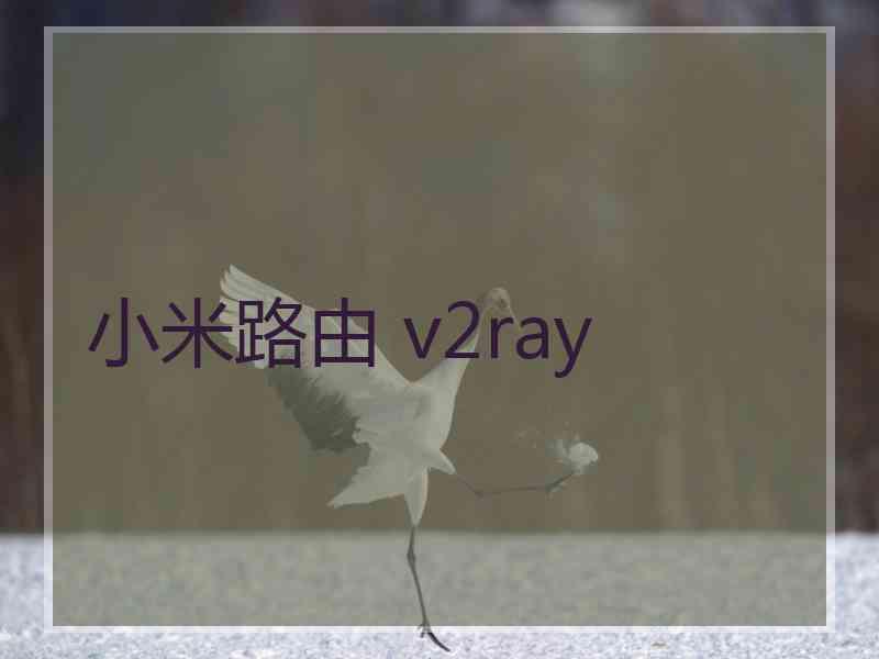 小米路由 v2ray