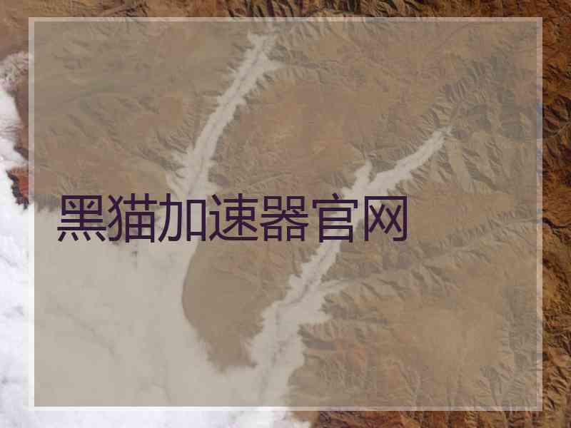 黑猫加速器官网