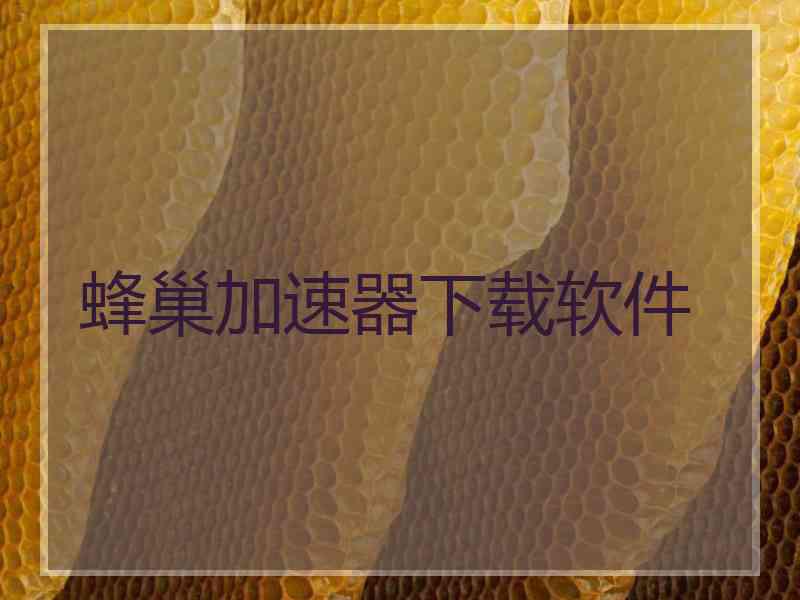 蜂巢加速器下载软件