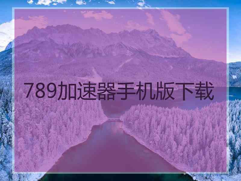 789加速器手机版下载