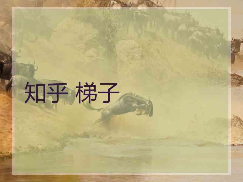 知乎 梯子