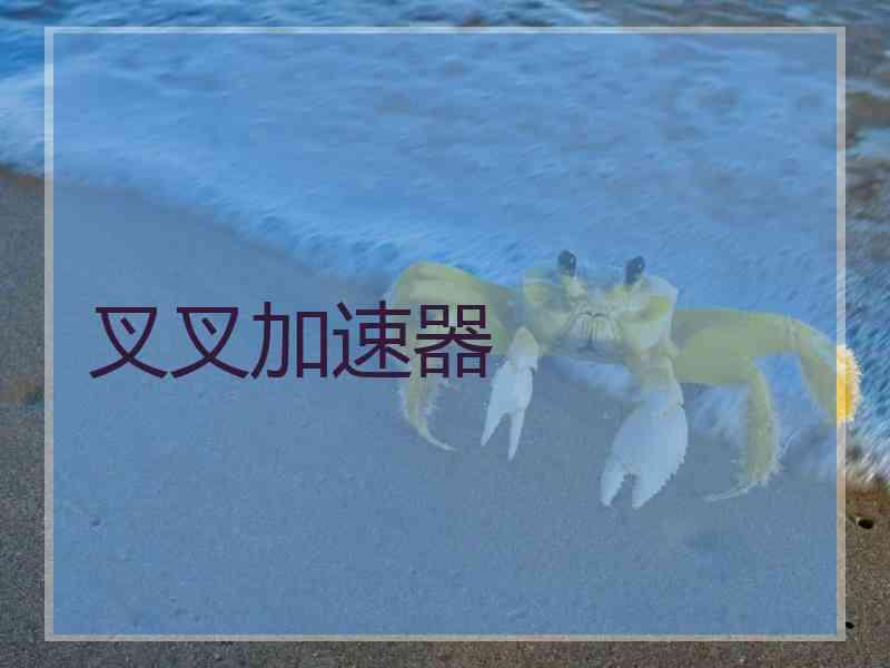 叉叉加速器