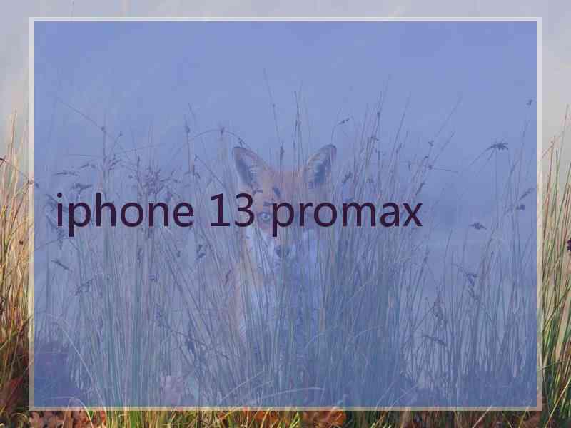 iphone 13 promax