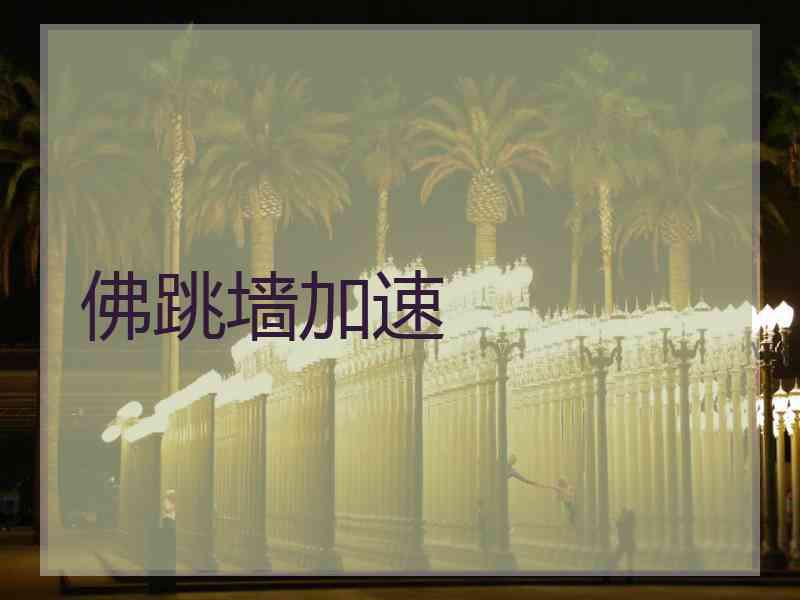 佛跳墙加速