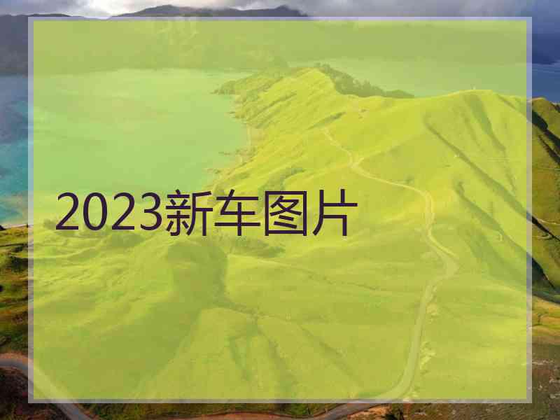 2023新车图片