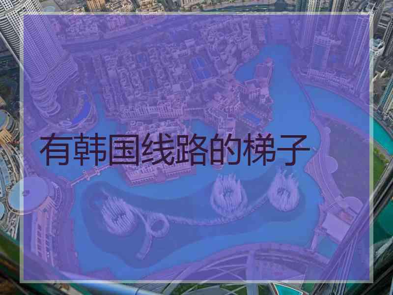 有韩国线路的梯子