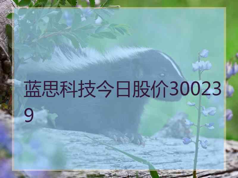 蓝思科技今日股价300239