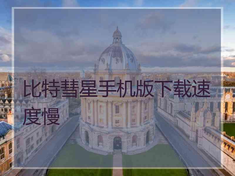 比特彗星手机版下载速度慢