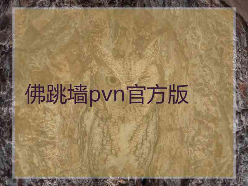 佛跳墙pvn官方版