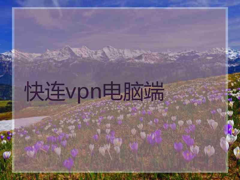快连vpn电脑端